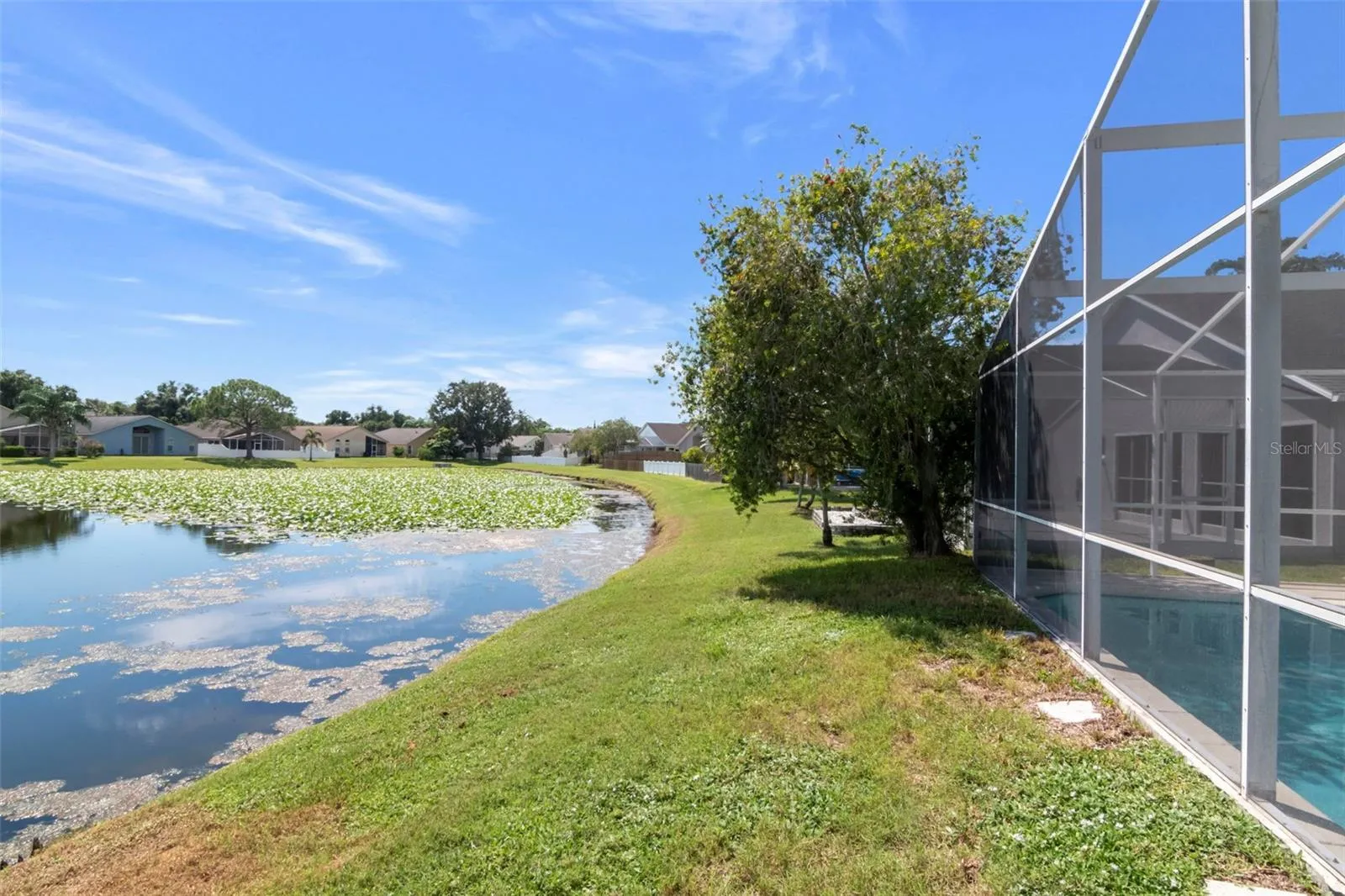 Rear Pool Property View