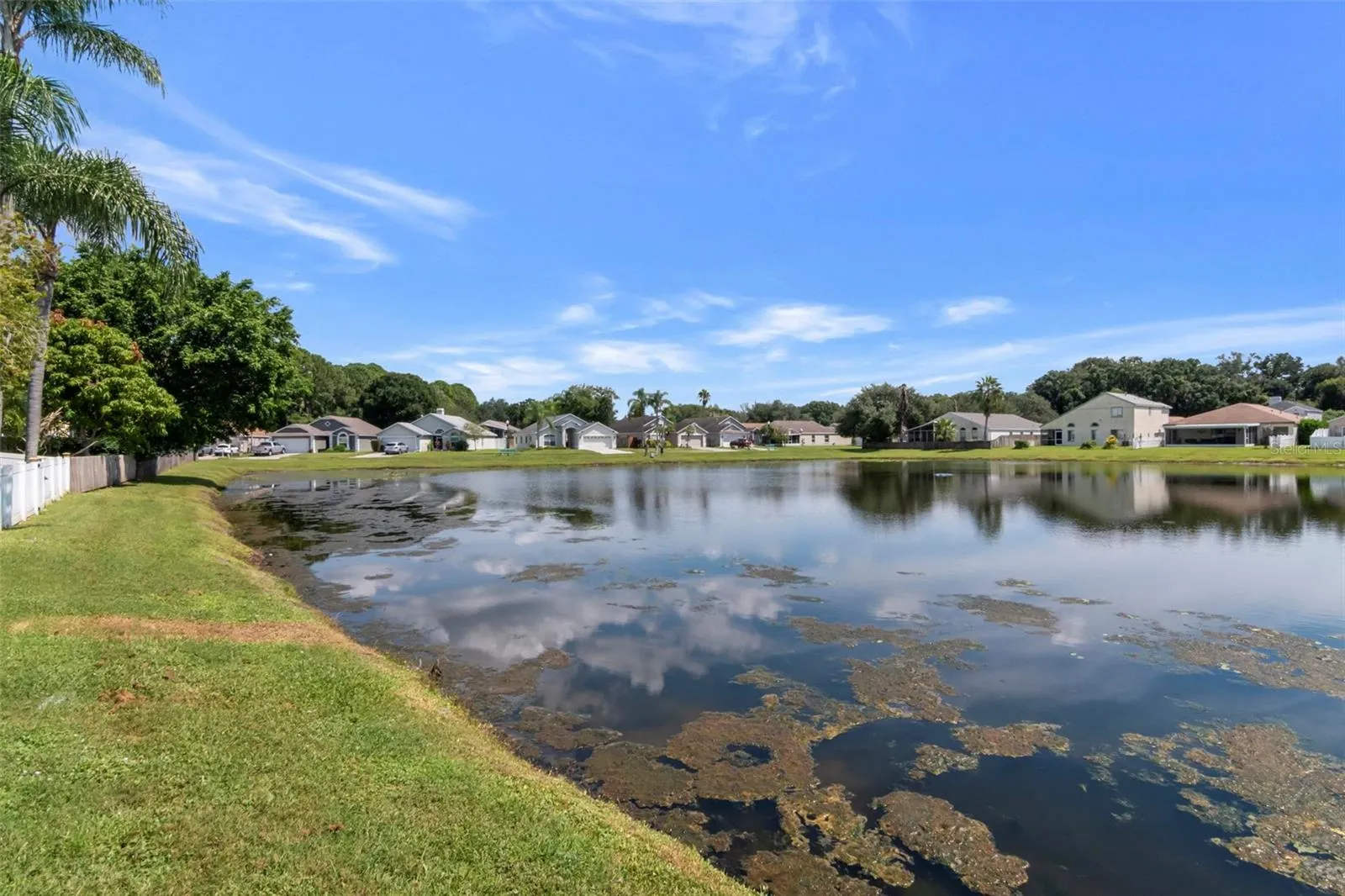 Rear Pool Property View
