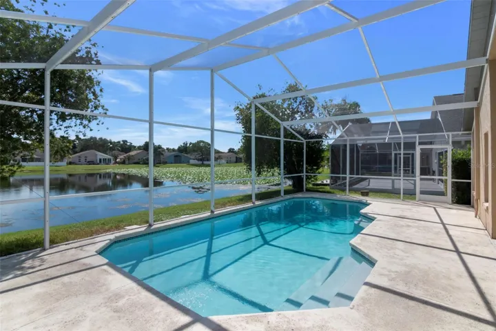 Pool Deck w/ Lakeview