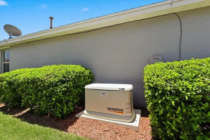 whole house gas generator