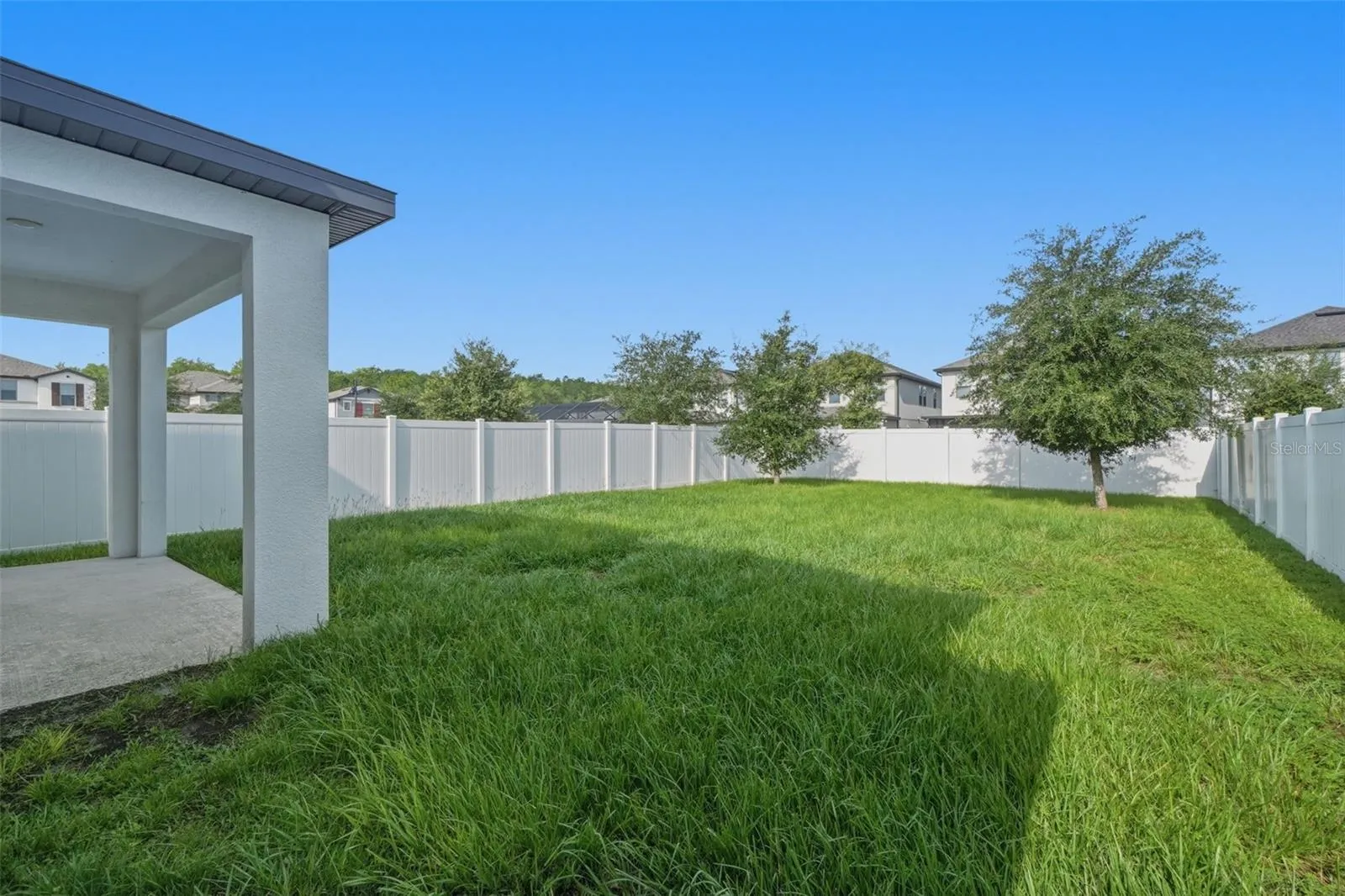 Expansive Yard