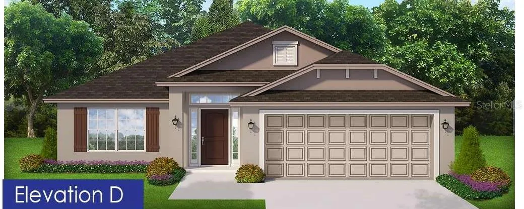 Front Rendering