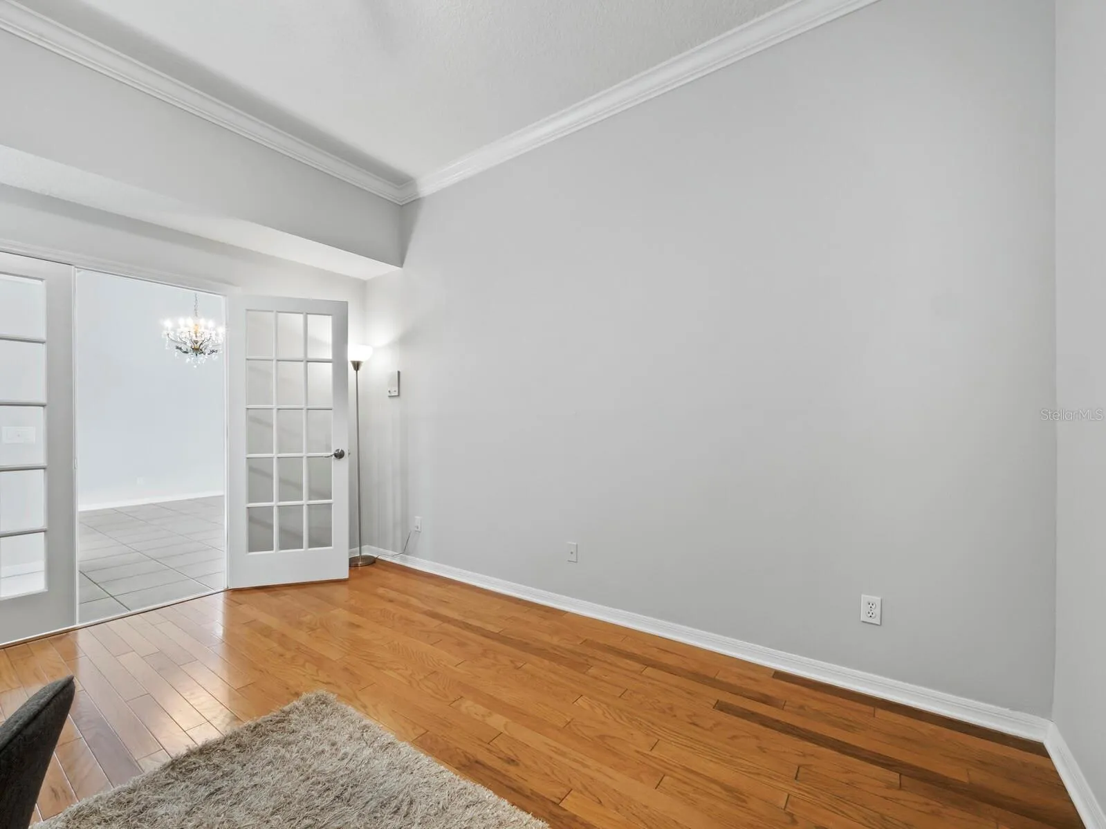 2nd bedroom/flex room, on the main floor.