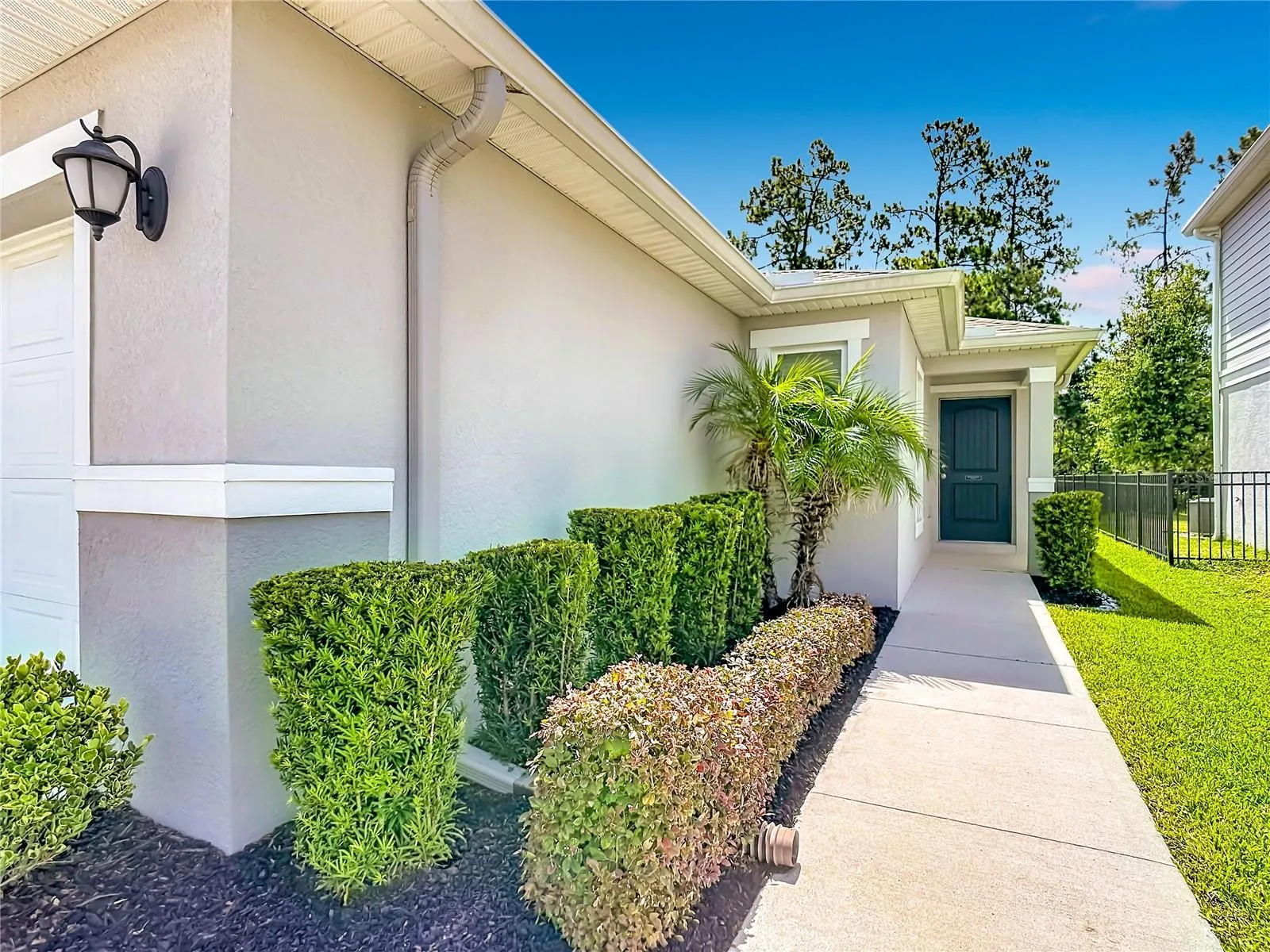 Entrance landscape and rain gutters