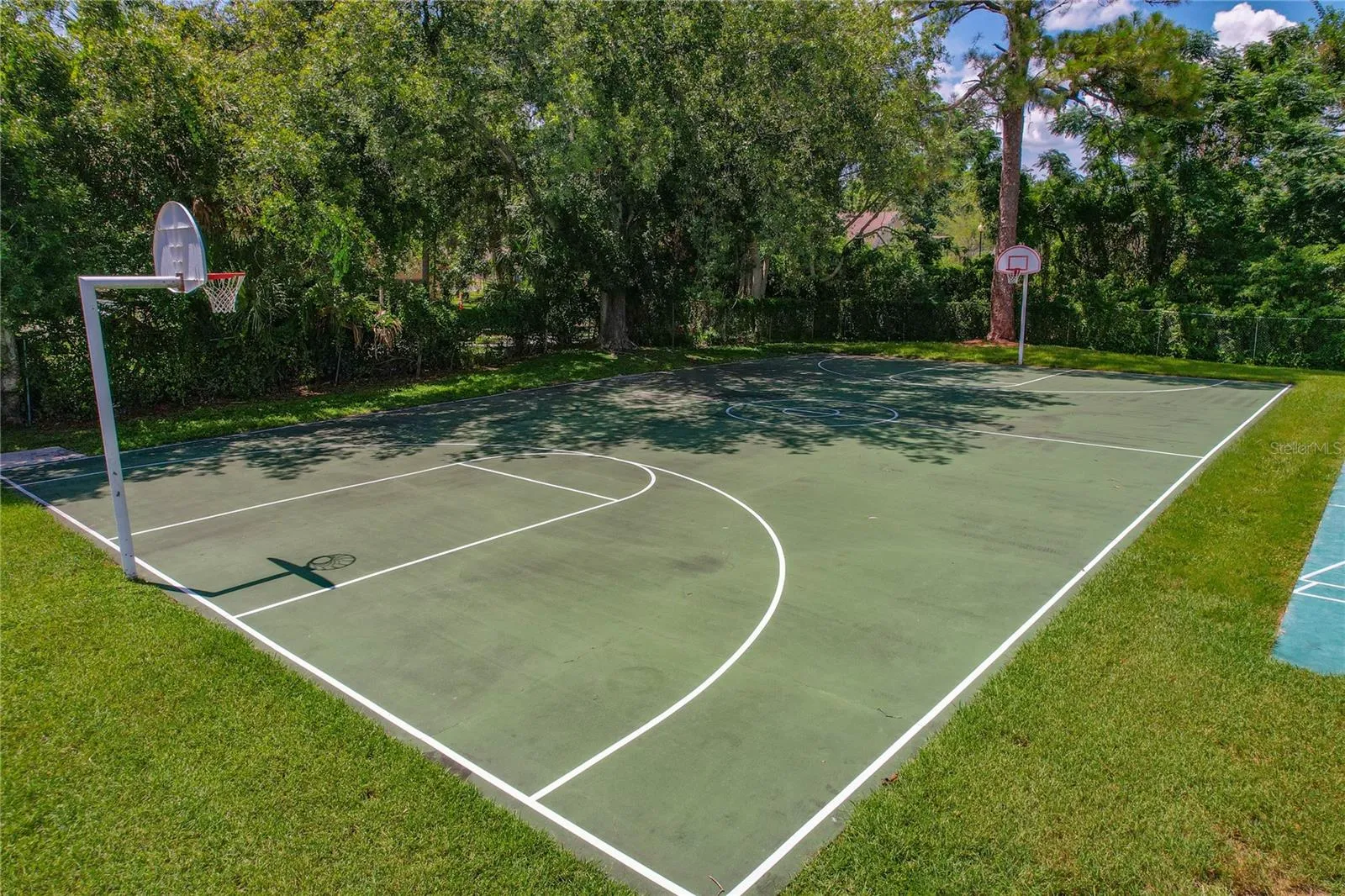 Basket Ball