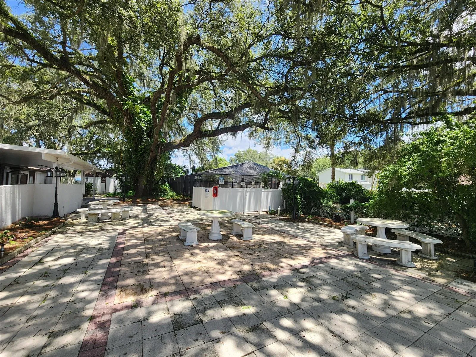 Thalia Grounds