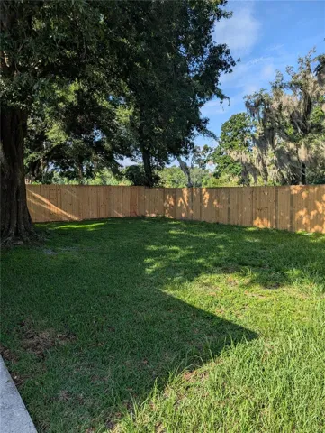 Back yard