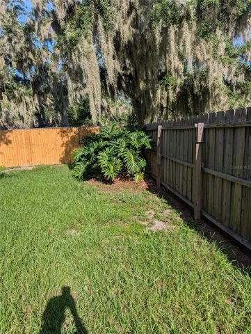 Back yard