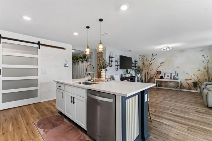 Pantry barn door