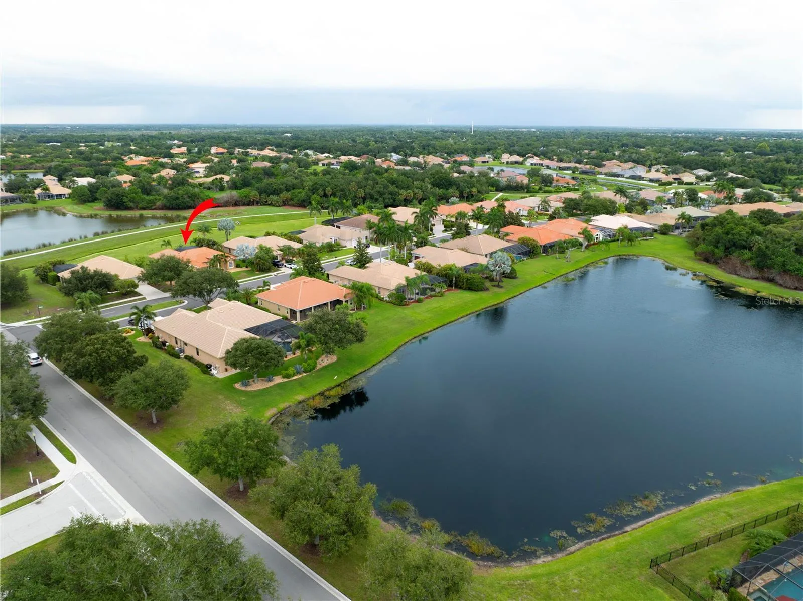 Neighborhood Overview