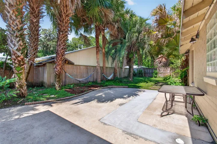 Back Patio with Palm tree shade