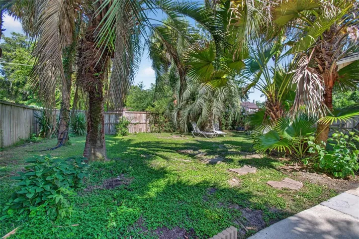 Tropical backyard
