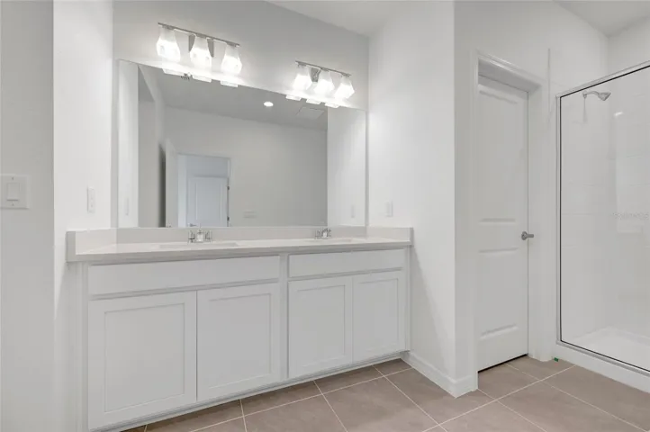 Owner's Bath