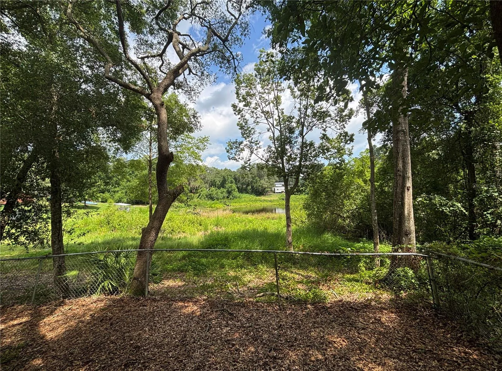 Pond View