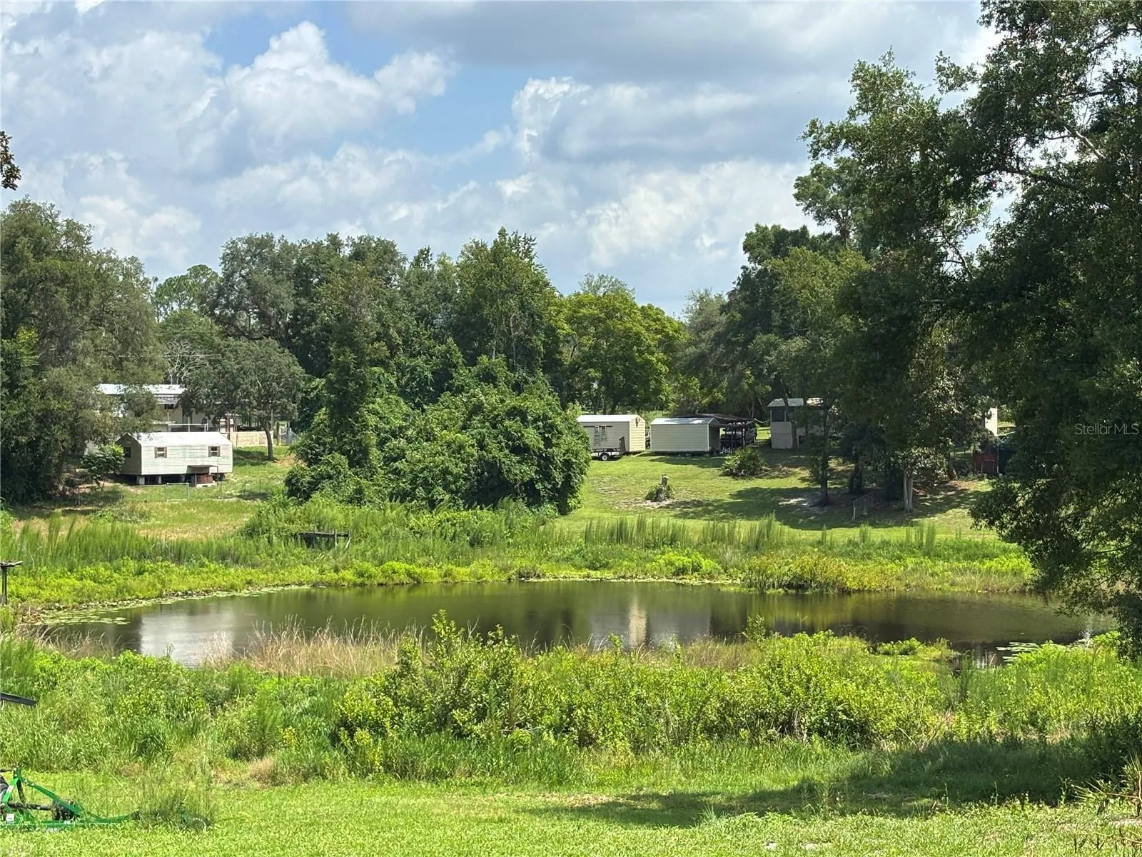 Pond