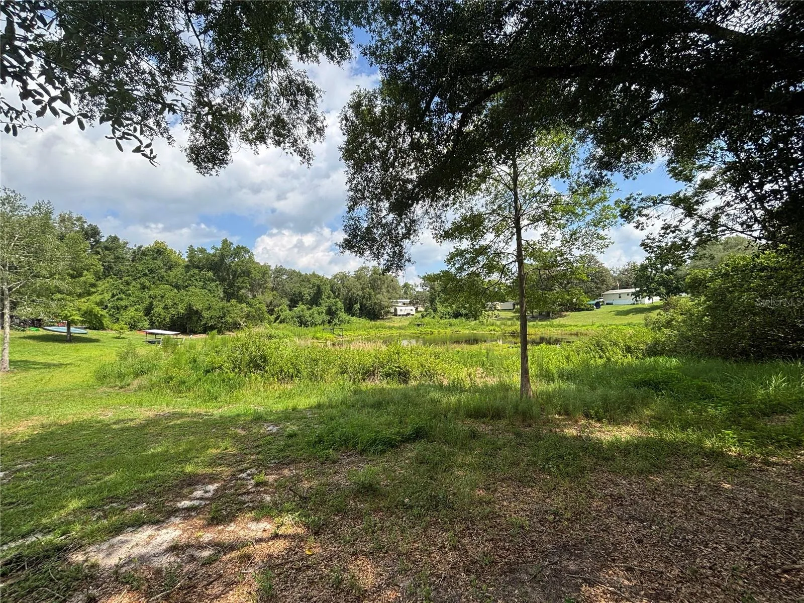 Pond View