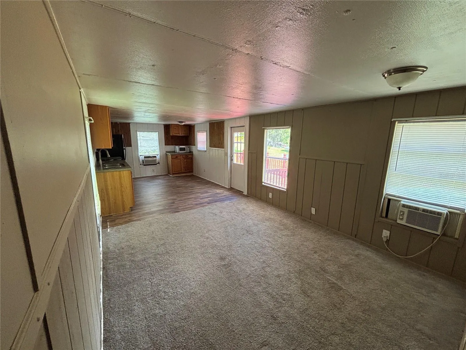 Living room / Kitchen