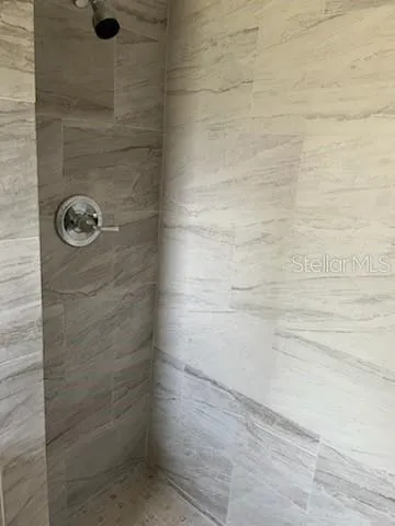 Master shower