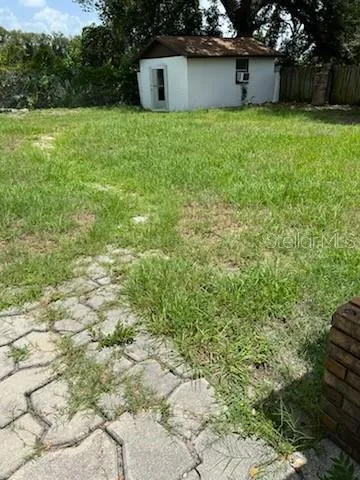 Back yard
