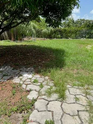 Back yard