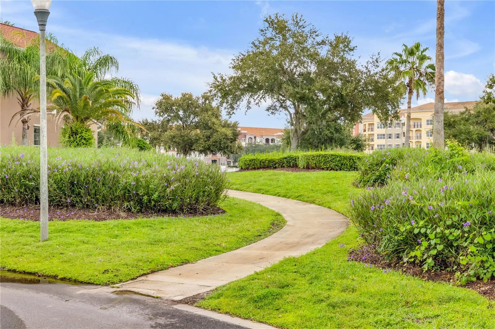 Walking trail to the Towne Center