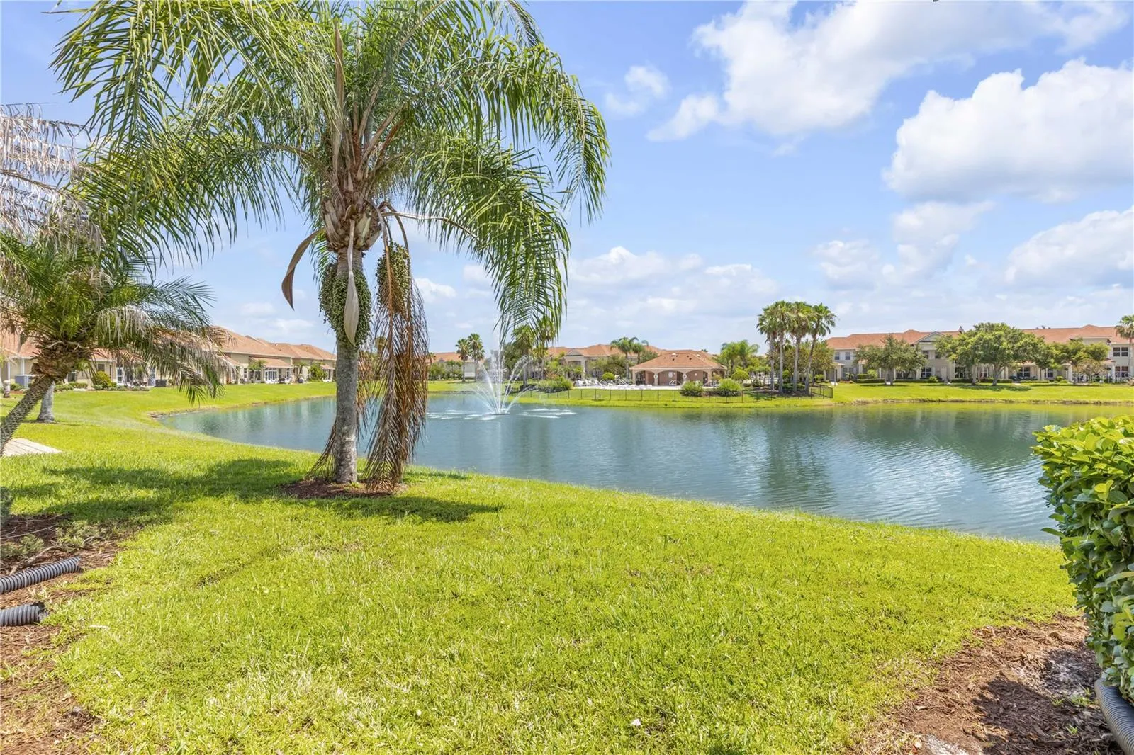 View of pond from back patio