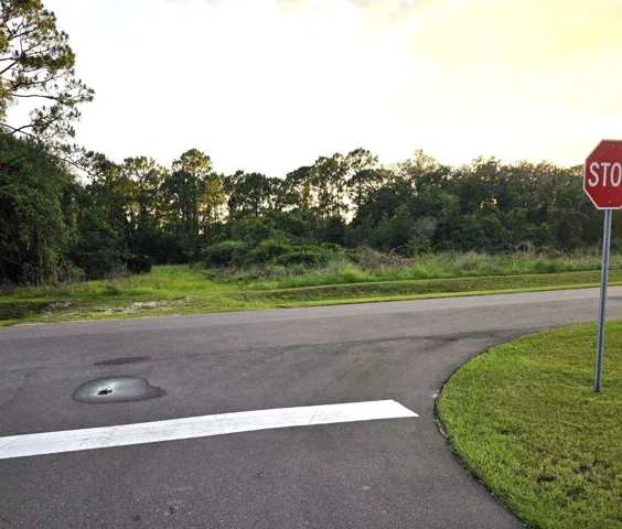 Property is the left side view