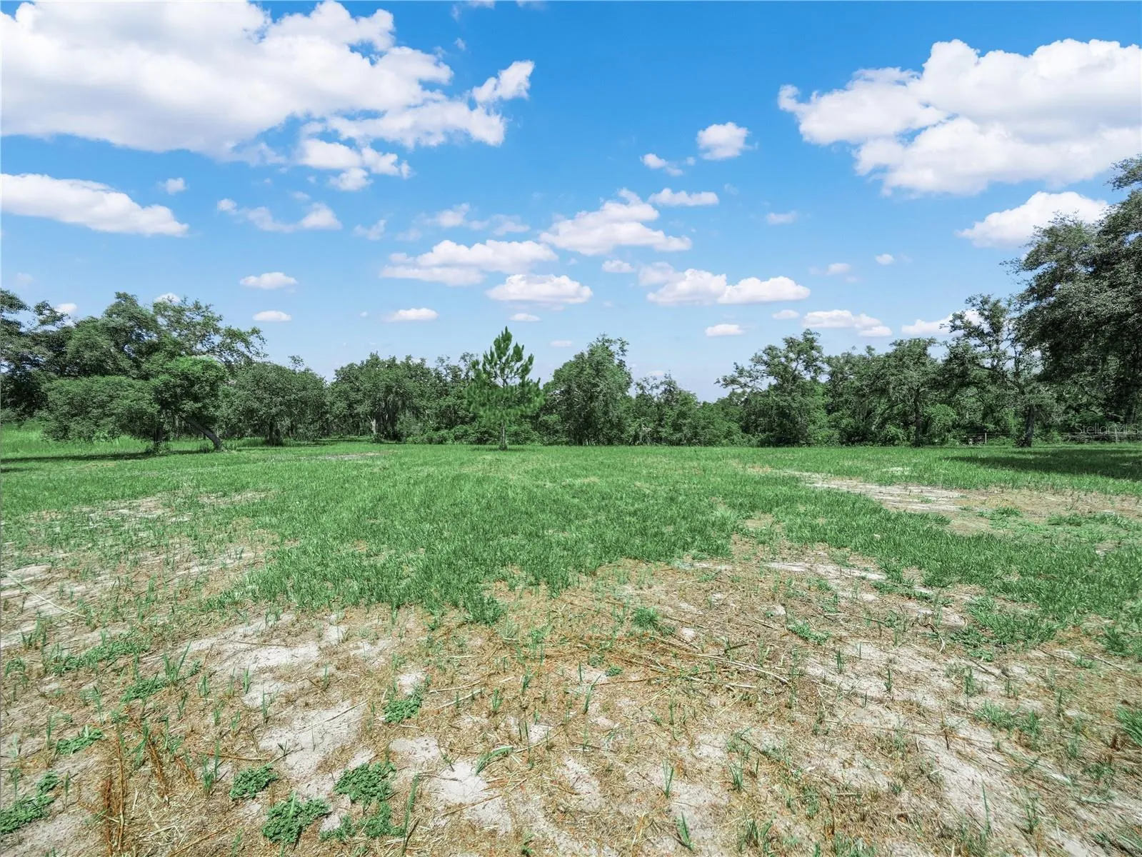 Open view to back fence line