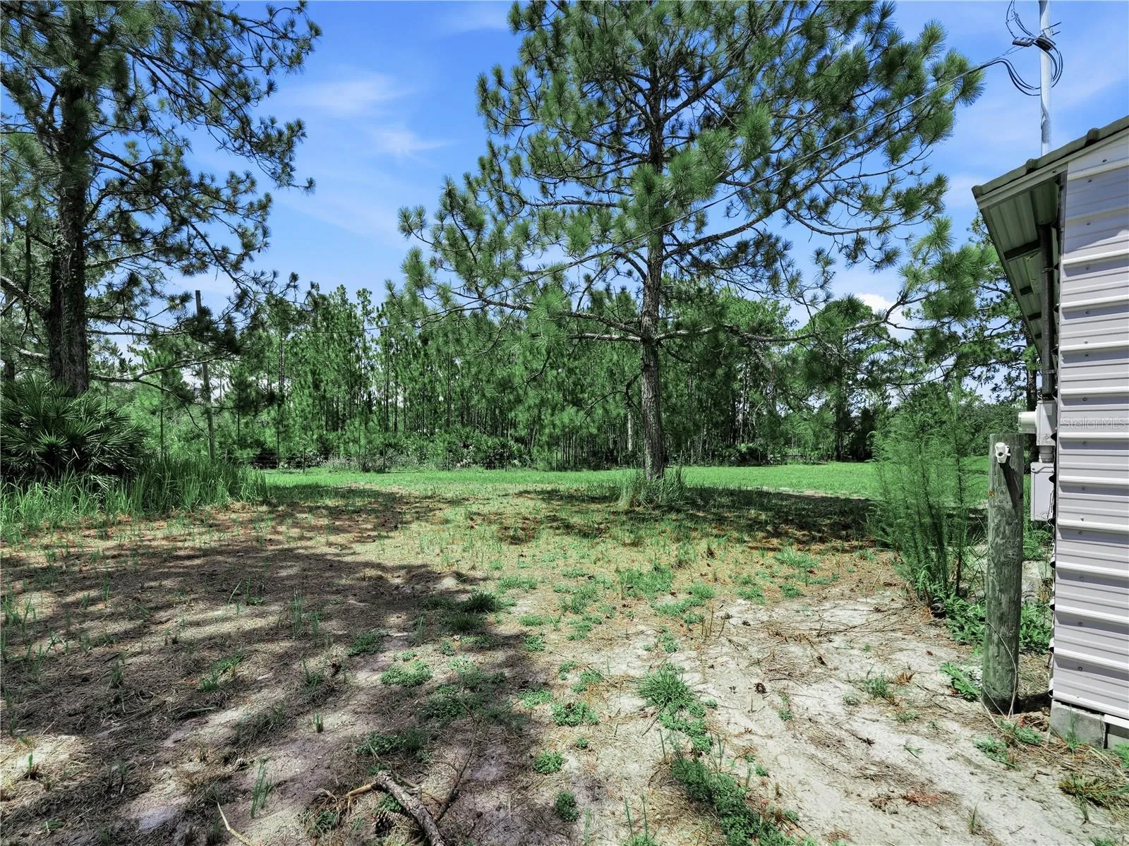 East view of property line