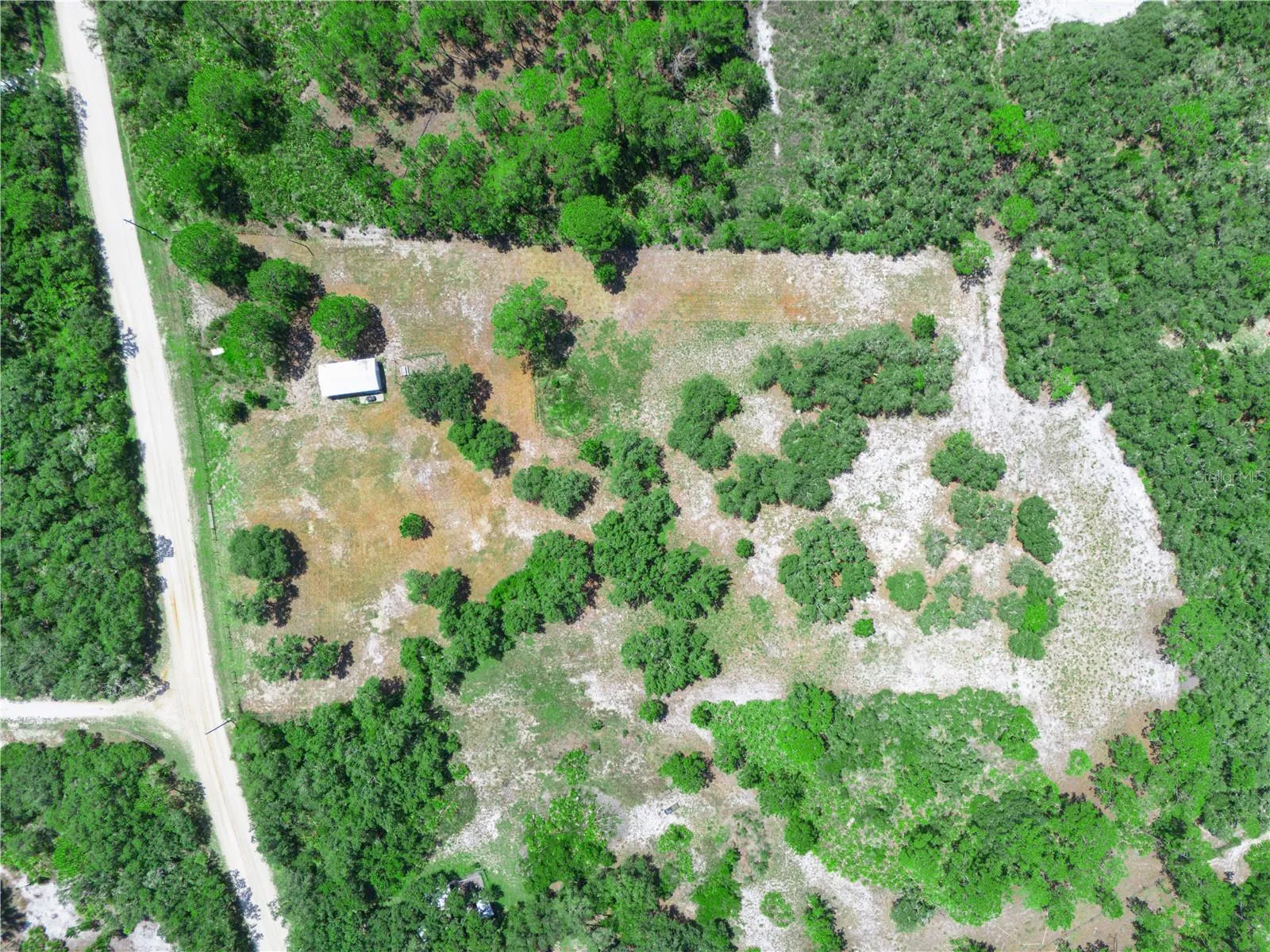 R E Byrd aerial view