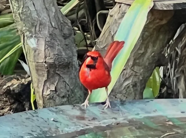 1170