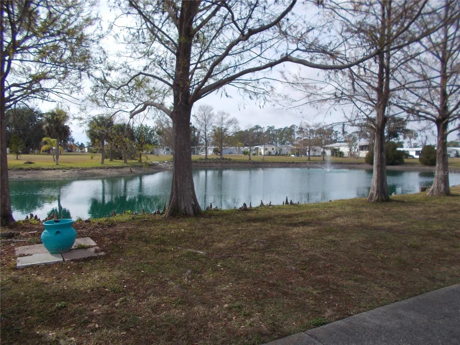Pond