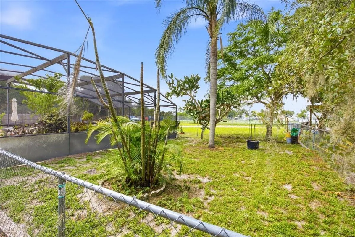 Backyard