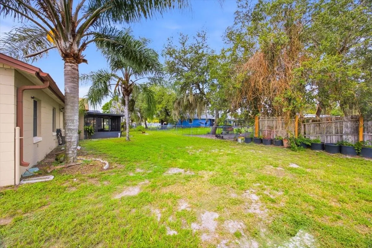 Backyard