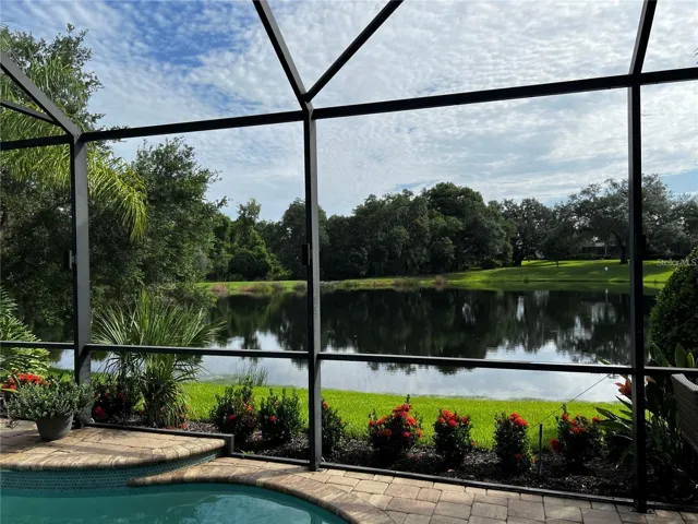 Pool with views