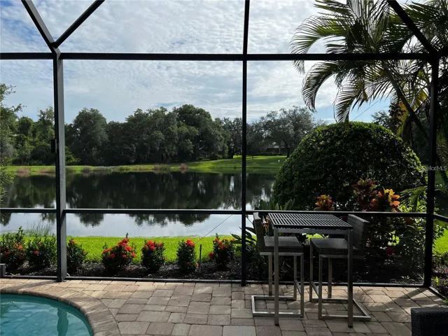 Pool with view