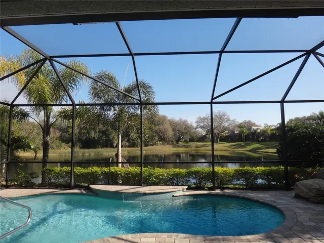 Pool with views