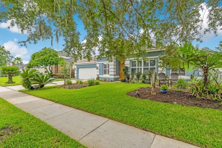 Exterior and Front Yard
