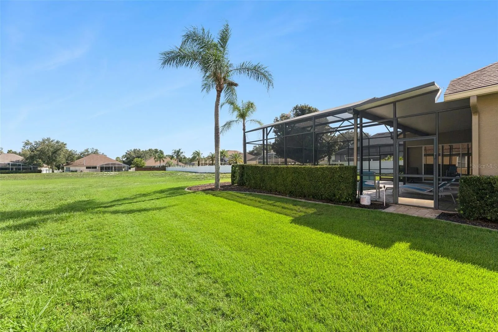 Expansive backyard