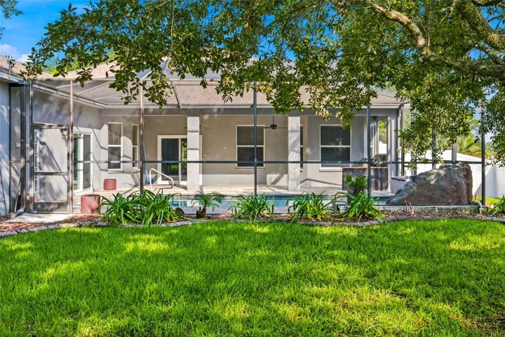 Large Backyard Fenced In