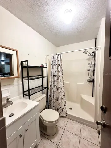 Lower level bathroom