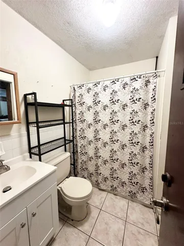 Lower level bathroom