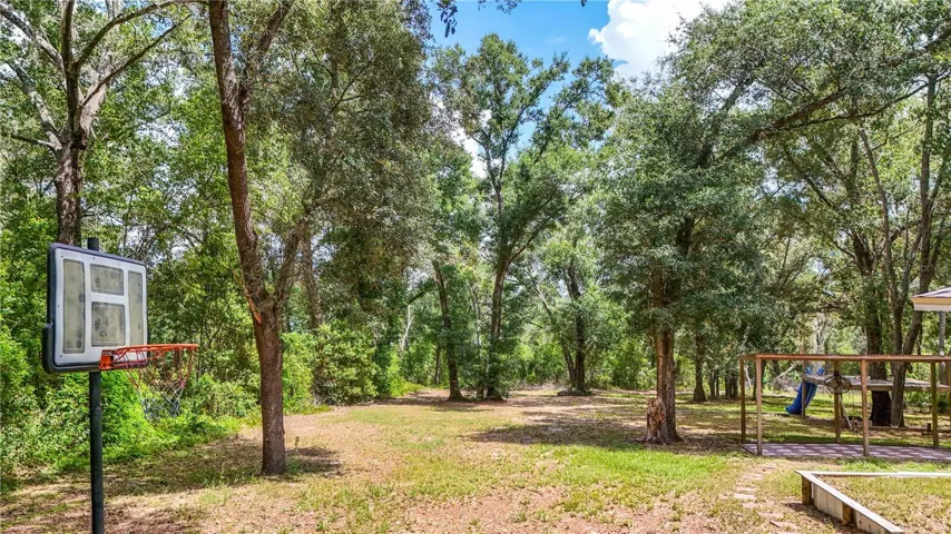 Side Yard