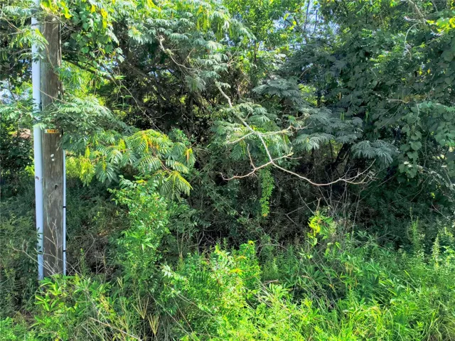 From power pole/edge of property