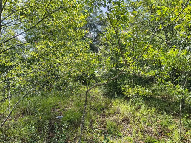 Back of property