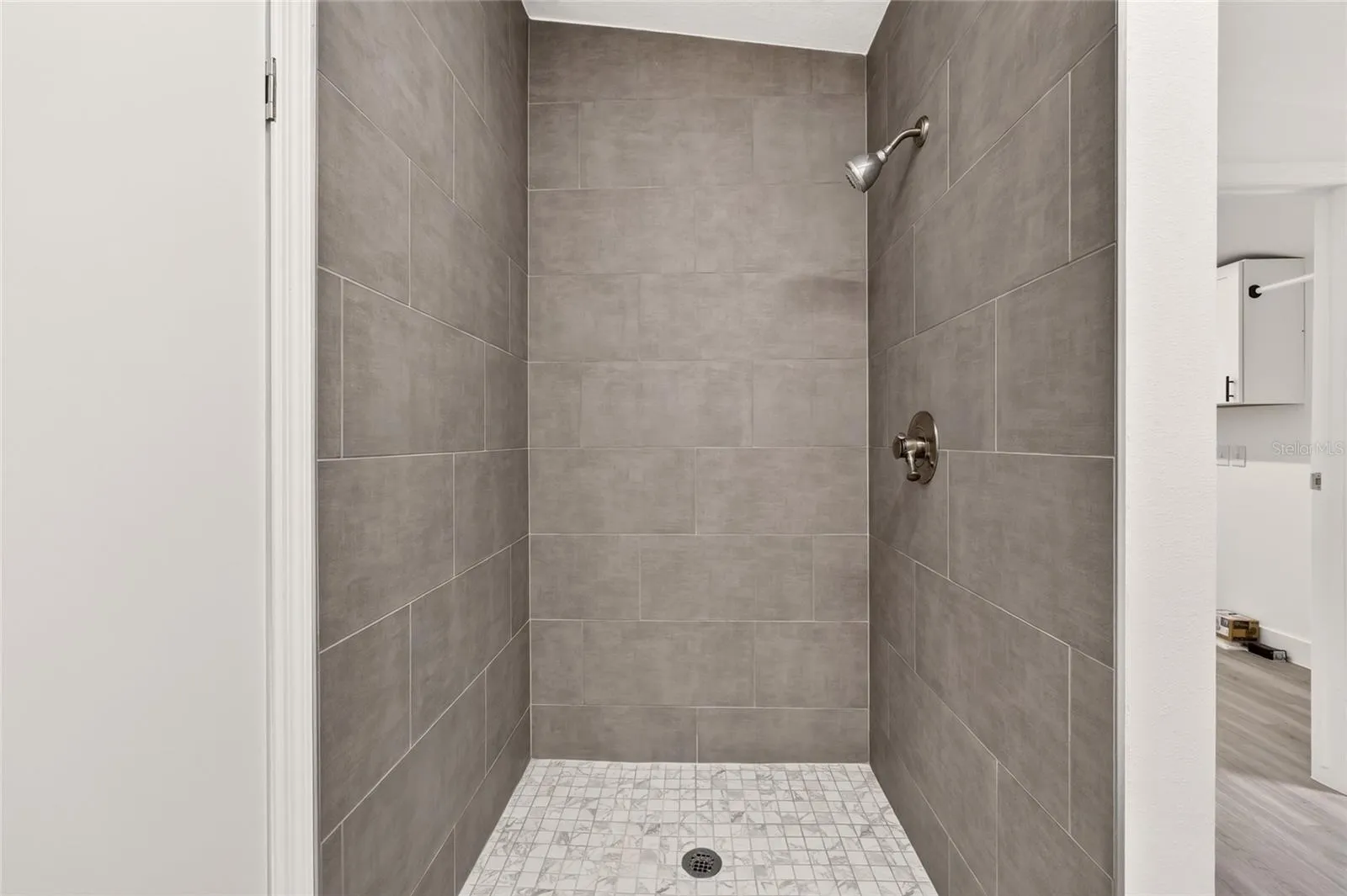 Primary Shower