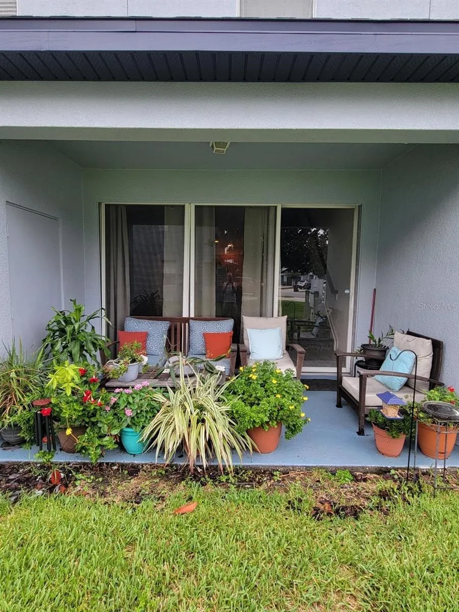 Back yard patio