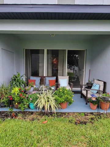 Back yard patio