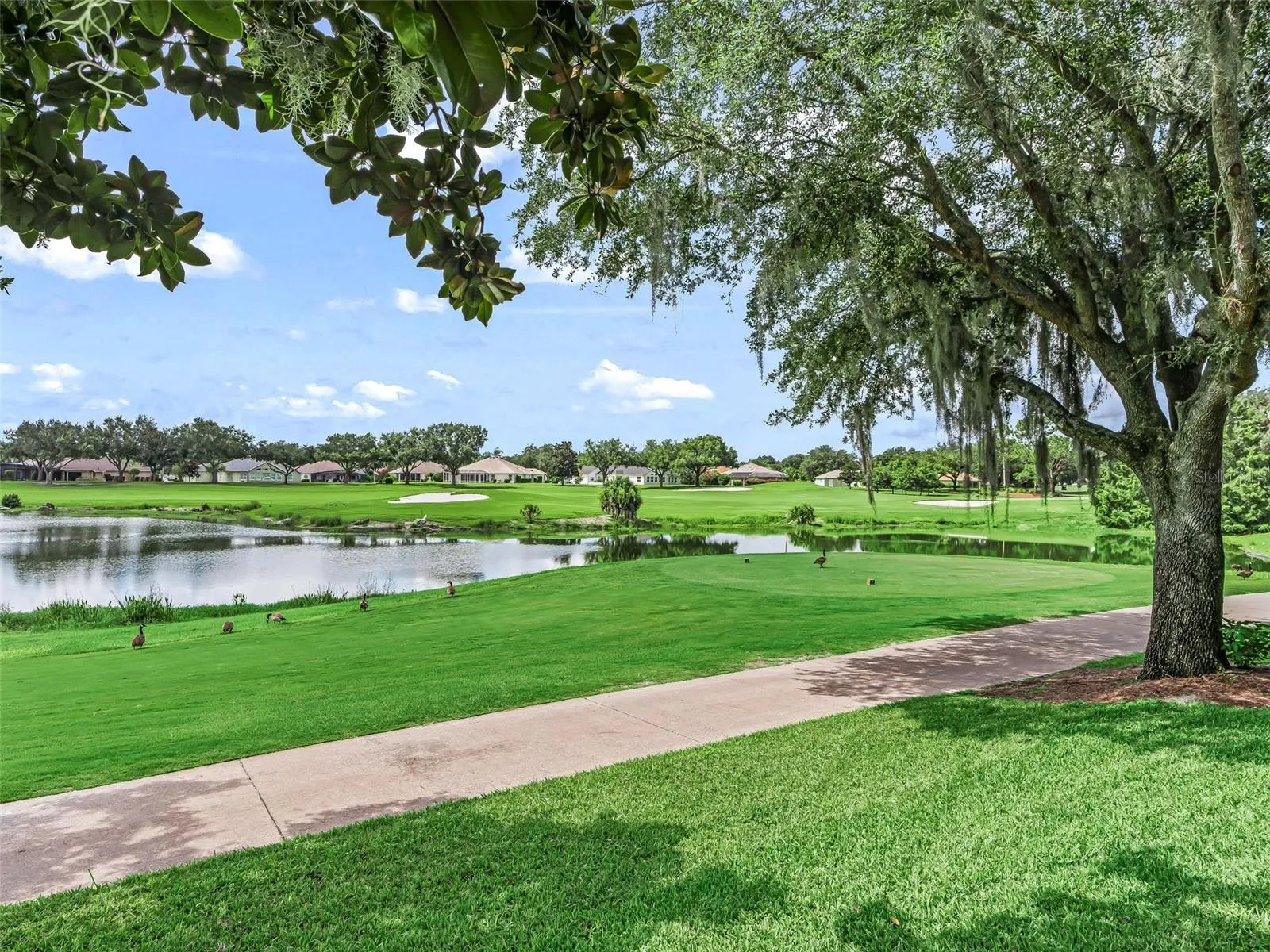 9th Tee box