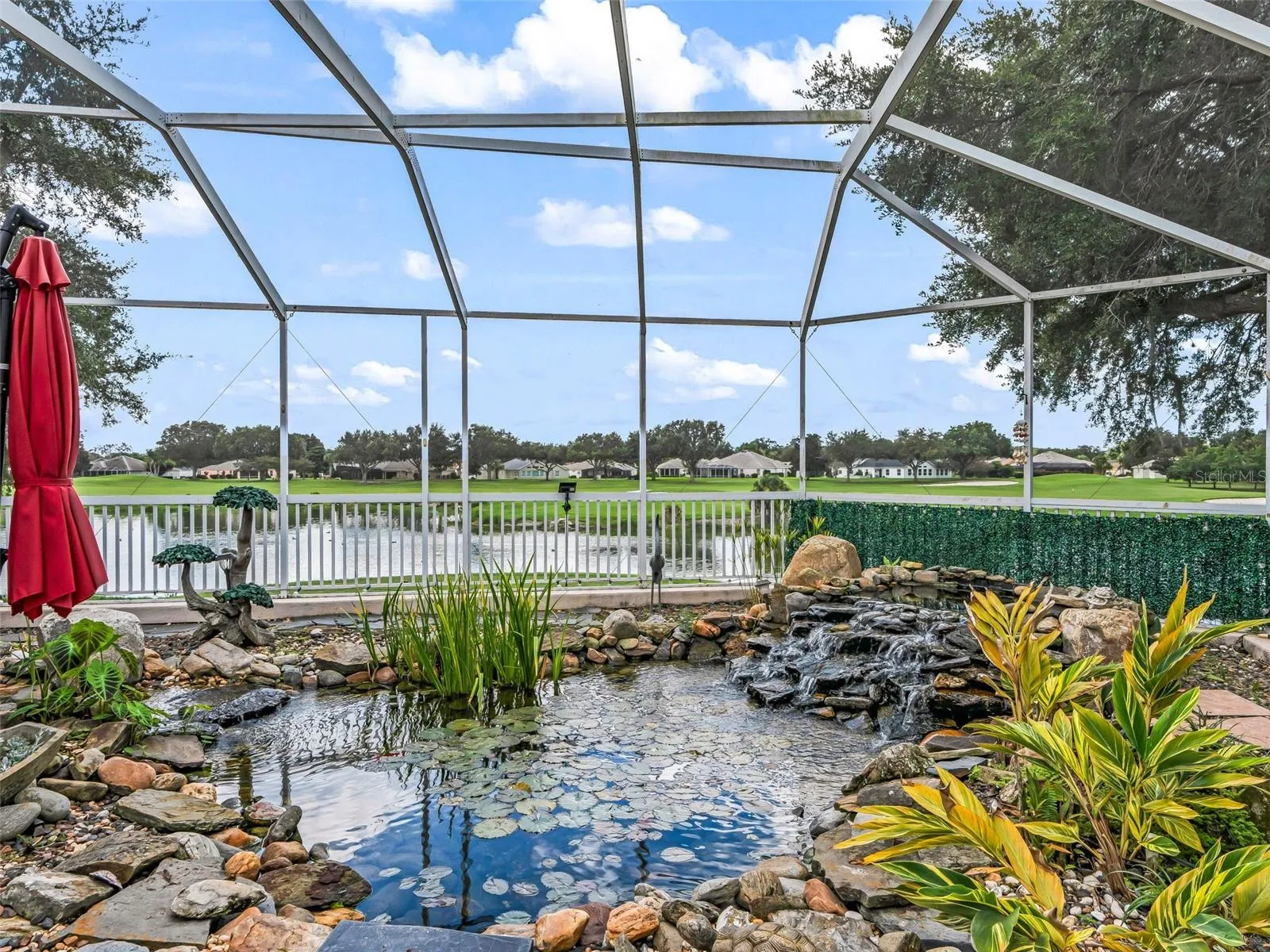 KOI POND